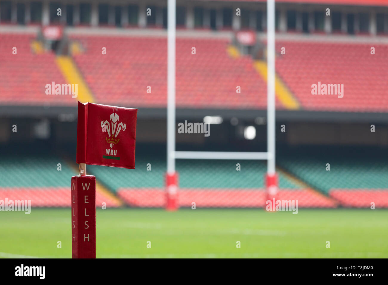 Die Tonhöhe und steht einer leeren Fürstentum Stadium in Cardiff Stockfoto
