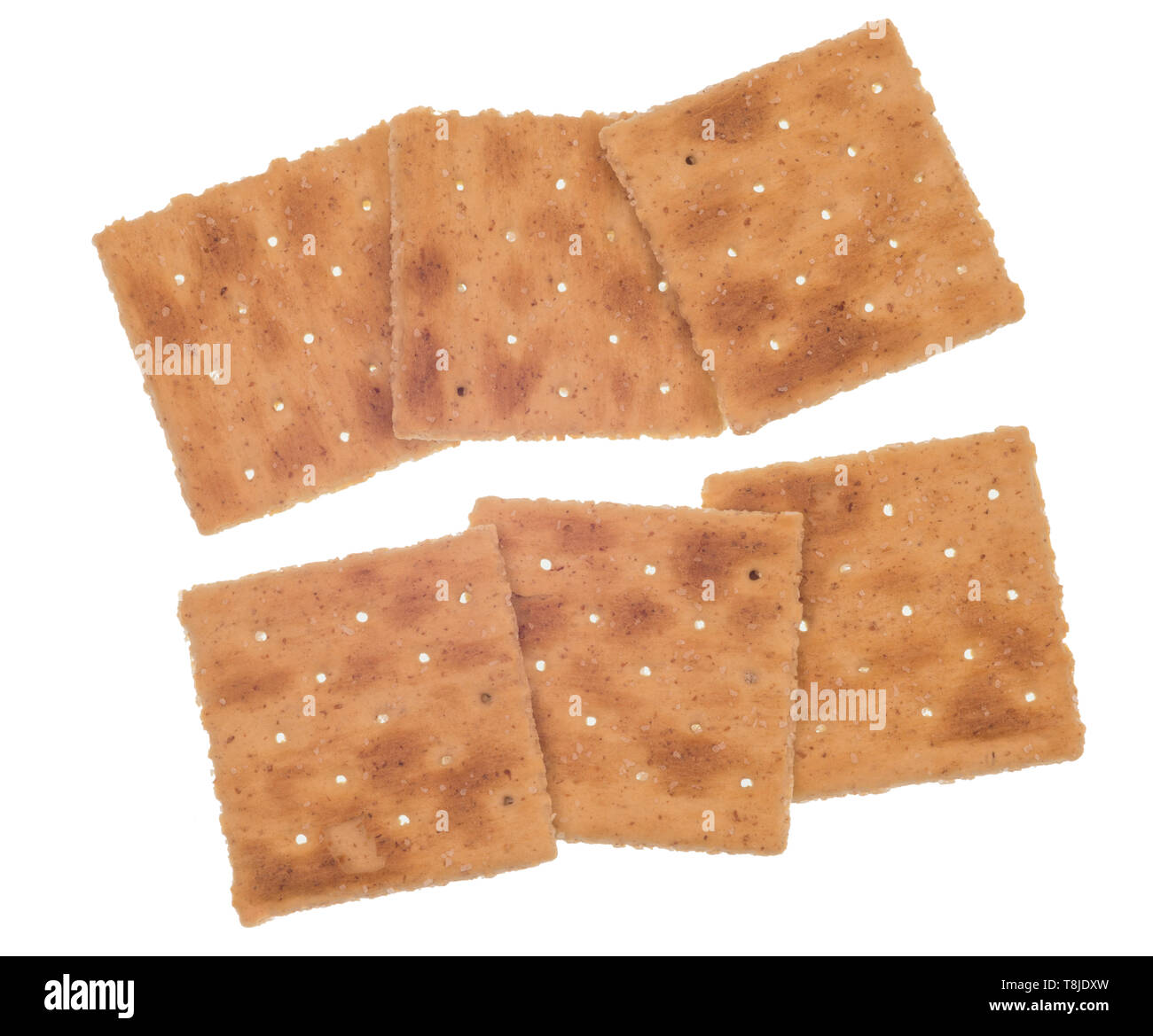 Horizontale Schuß von sechs ganze - Weizen Cracker in zwei Reihen zu je drei. Weißer Hintergrund. Auf weiß isoliert. Löcher in der Cracker. Stockfoto