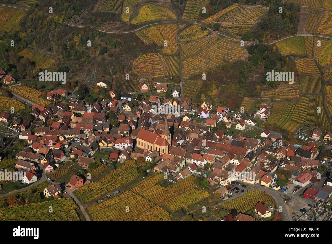 Frankreich, Haut Rhin, Niedermorschwihr, Route des Vins d'Alsace, Niedermorschwihr Weinberg (Luftbild) Stockfoto