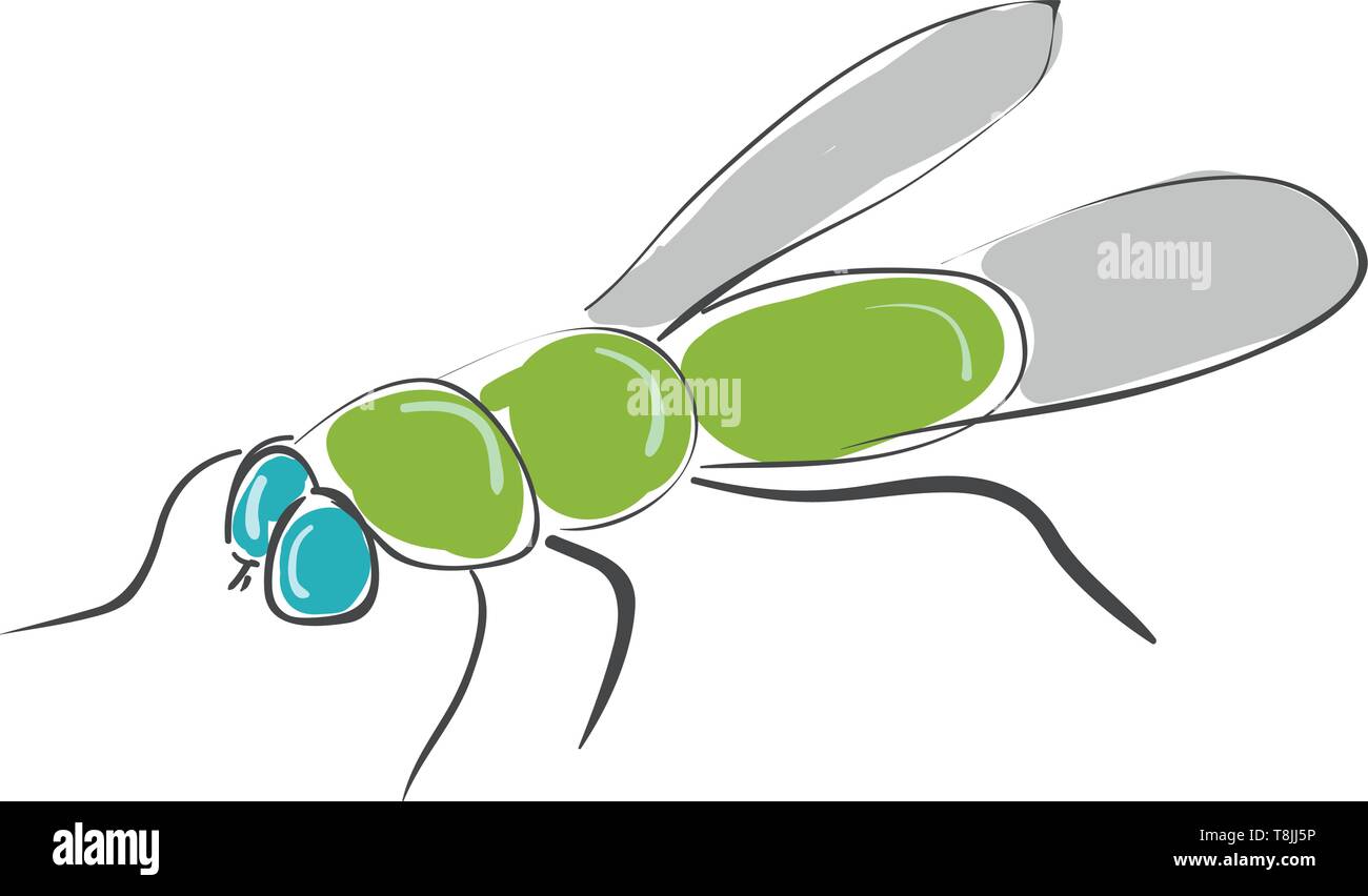 Eine grüne Fliegen mit blauen Augen, mit Grauen Flügeln, Vector, Farbe, Zeichnung oder Abbildung. Stock Vektor