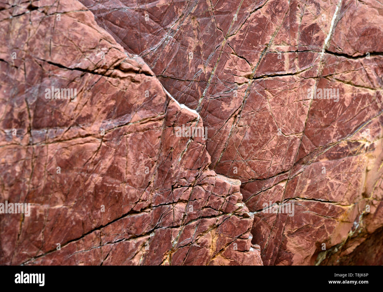 Roter Sandstein Koyasan Japan Stockfoto