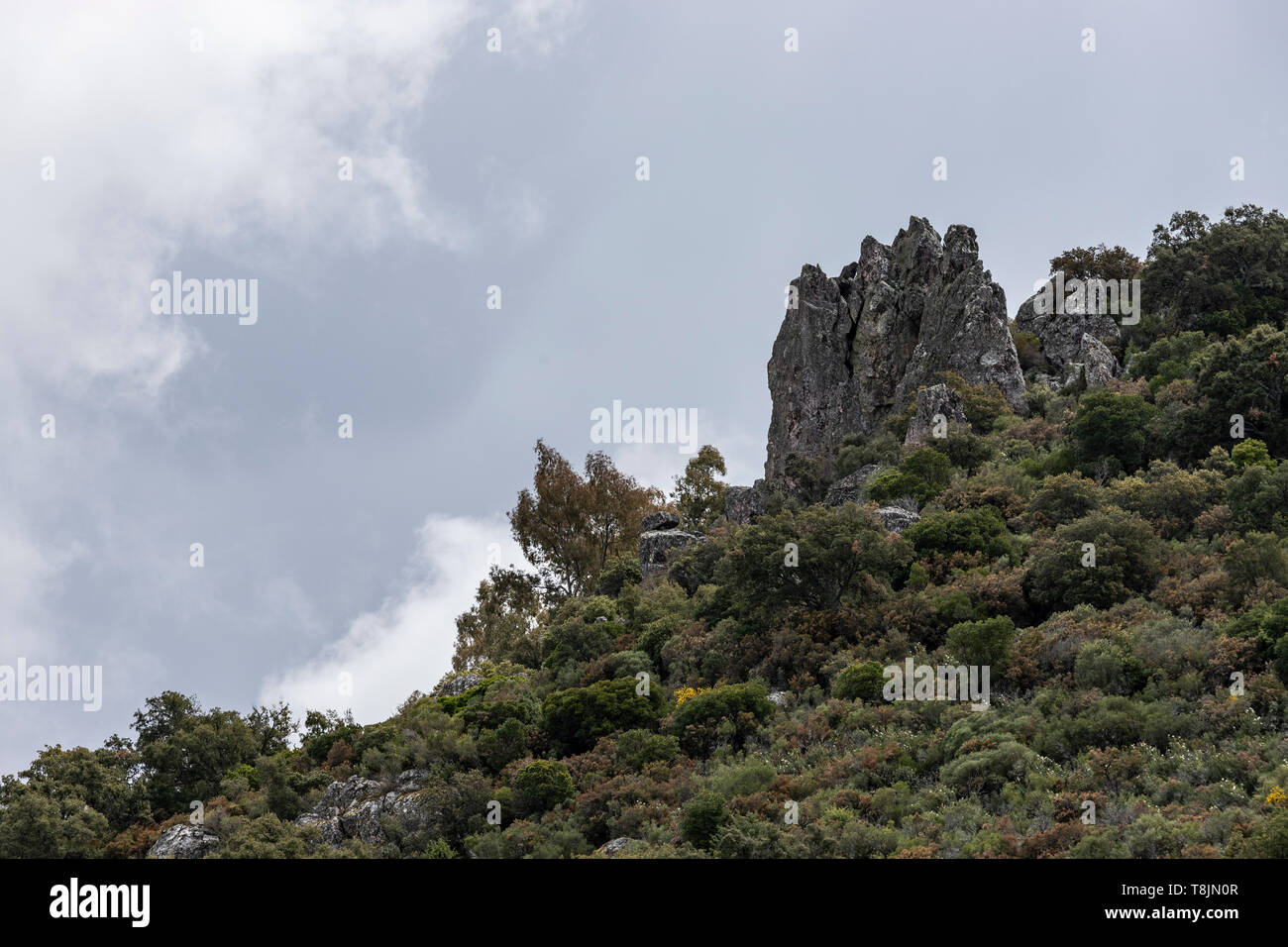 Blick auf Toledo Stadt in Sapin Stockfoto