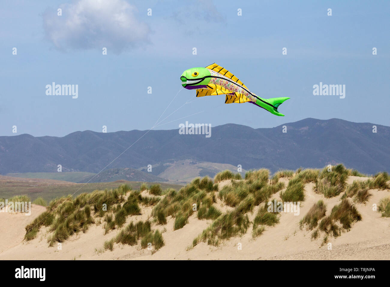 Fisch geformt Drachen fliegen über Strand dune Stockfoto