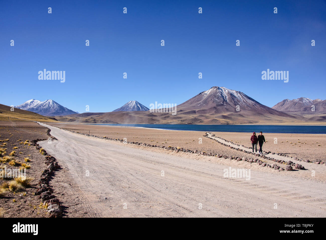 Schönen See Miscanti auf dem Altiplano, Atacama, Chile Stockfoto