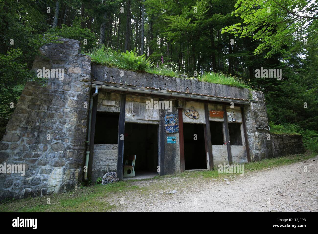 Frankreich, Haut Rhin, Stromkreis des Parc de la Tête des Faux: Die großen Unterstand der Devin Teich Stockfoto