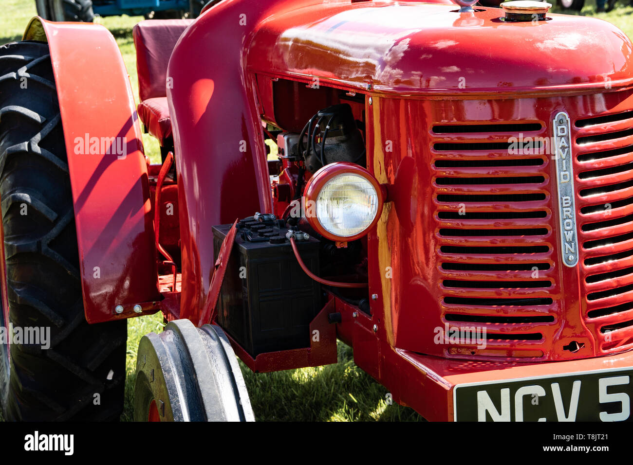 Alte vintage classic David Brown Ackerschlepper, Großbritannien Stockfoto