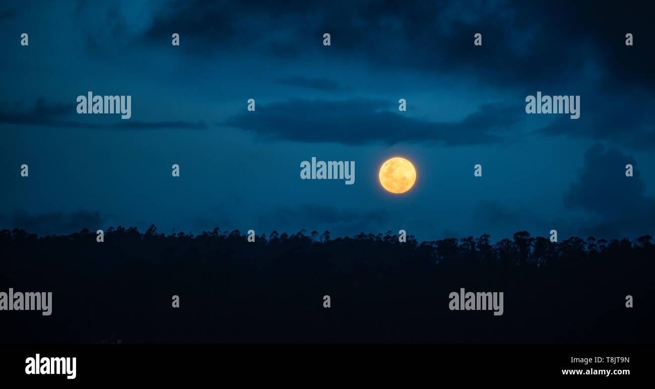 Mond im Amazon steigt. Der Regenwald des Amazonas Länder sind Brasilien, Bolivien, Kolumbien, Ecuador, Guyana, Surinam, Peru, Venezuela. Stockfoto