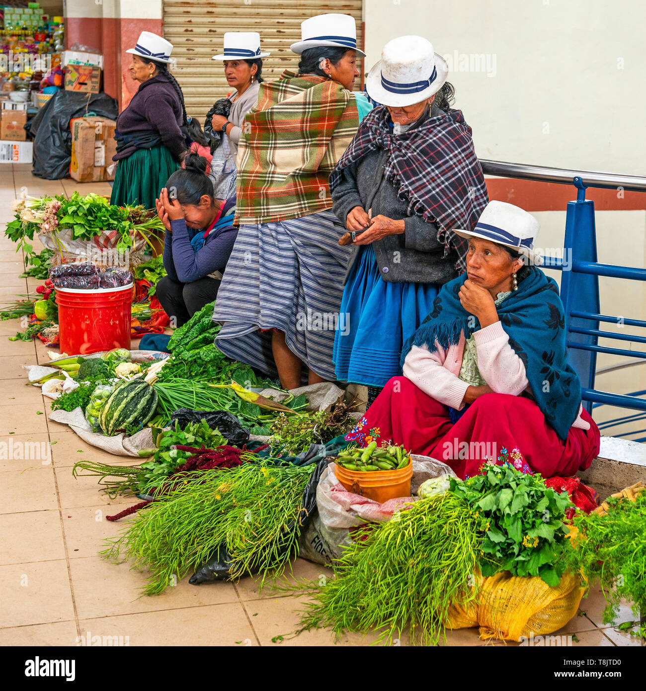 Indigenen ecuadorianischen Verkauf Frauen in traditioneller Kleidung und Panama Hüte Gemüse Verkauf im Innen- lokalen Markt von Cuenca, Ecuador. Stockfoto