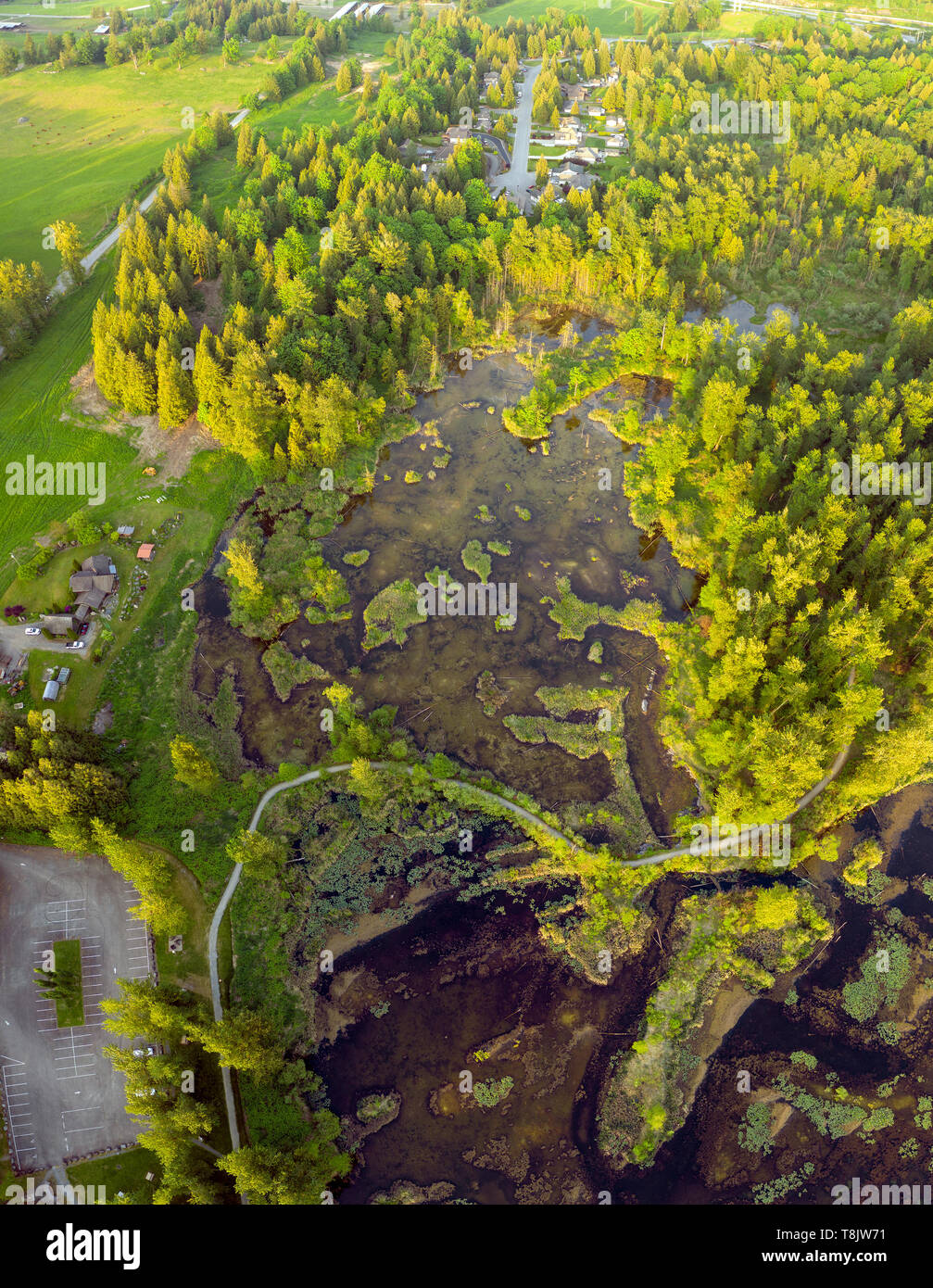 Einzigartige Perspektive Foto wegen Birds Eye oder erhöhten Blick auf die cheam See Feuchtgebiete Regional Park, Rosedale, British Columbia, Kanada Stockfoto