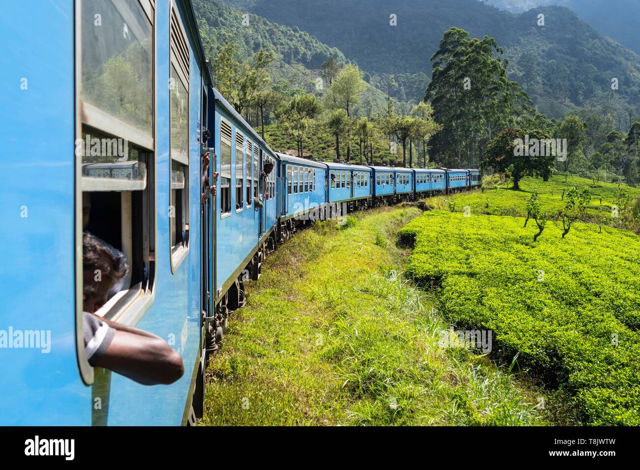 Sri Lanka, Provinz Uva, die Bahnlinie, die badulla nach Kandy Kreuzung Bergregionen und Teeplantagen verbindet Stockfoto