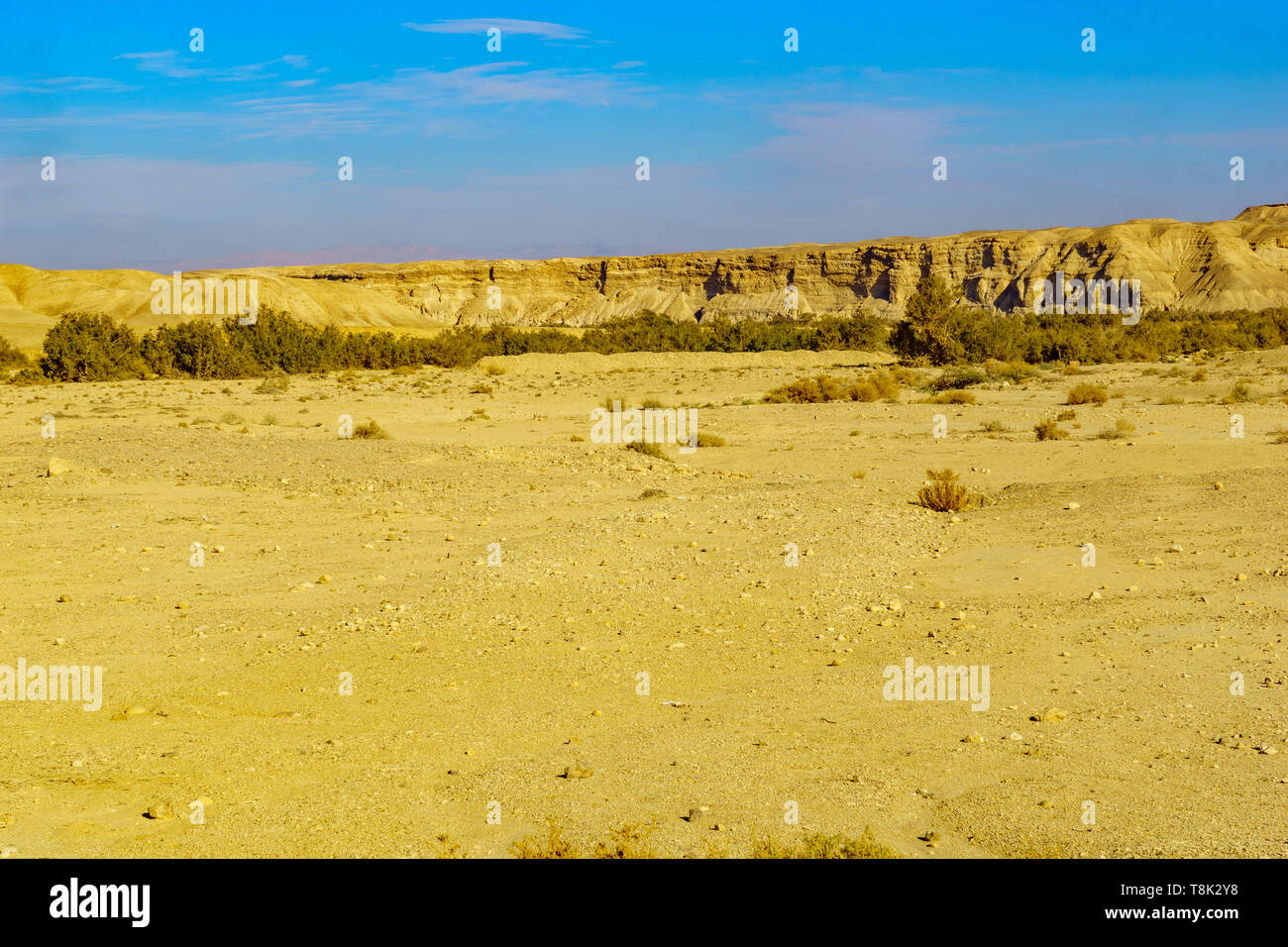 Wüste Landschaft im nördlichen Teil des Arava, südlichen Israel Stockfoto