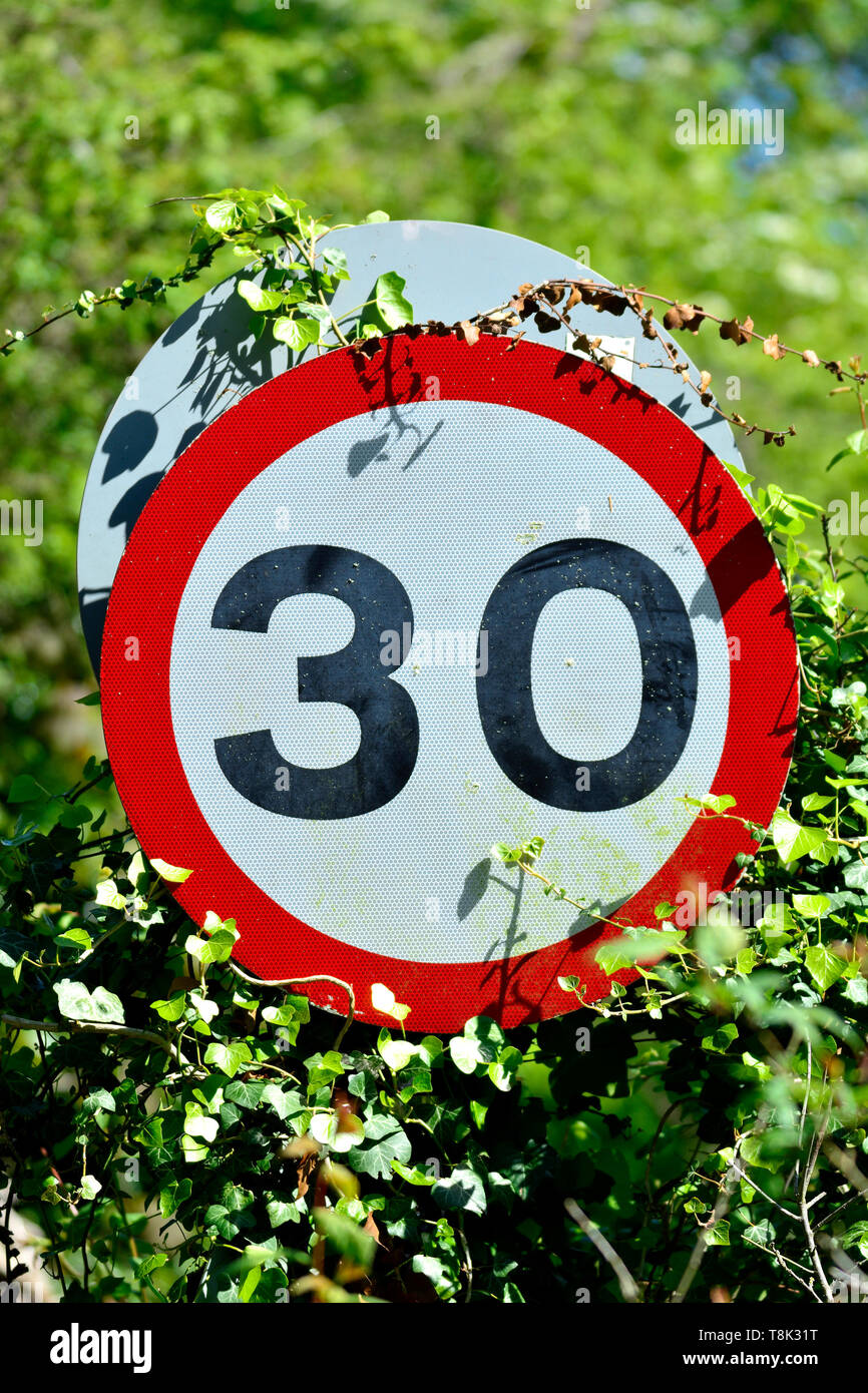 30 Meilen pro Stunde Höchstgeschwindigkeit Zeichen in einer Hecke, Boughton Monchelsea Dorf, Kent, England. Stockfoto