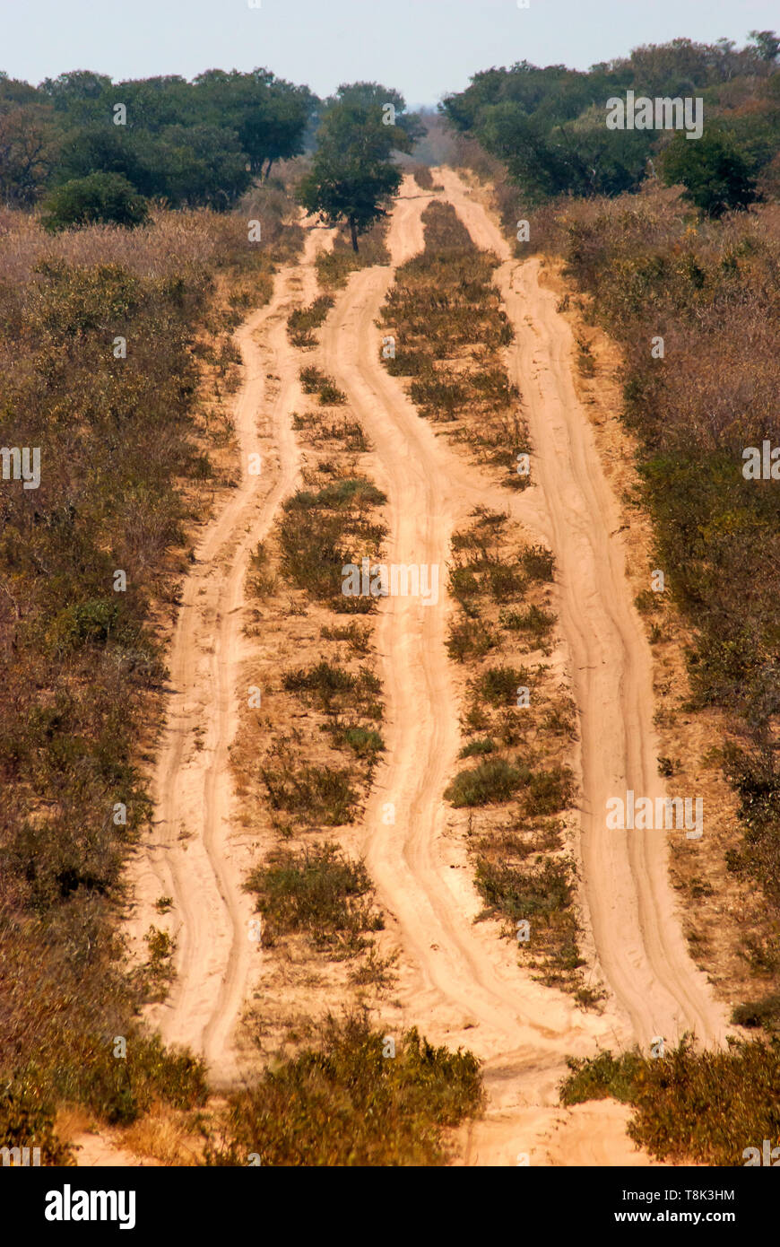Schweren Sand auf der off road Tracks crossing Chobe National Park, Botswana Stockfoto