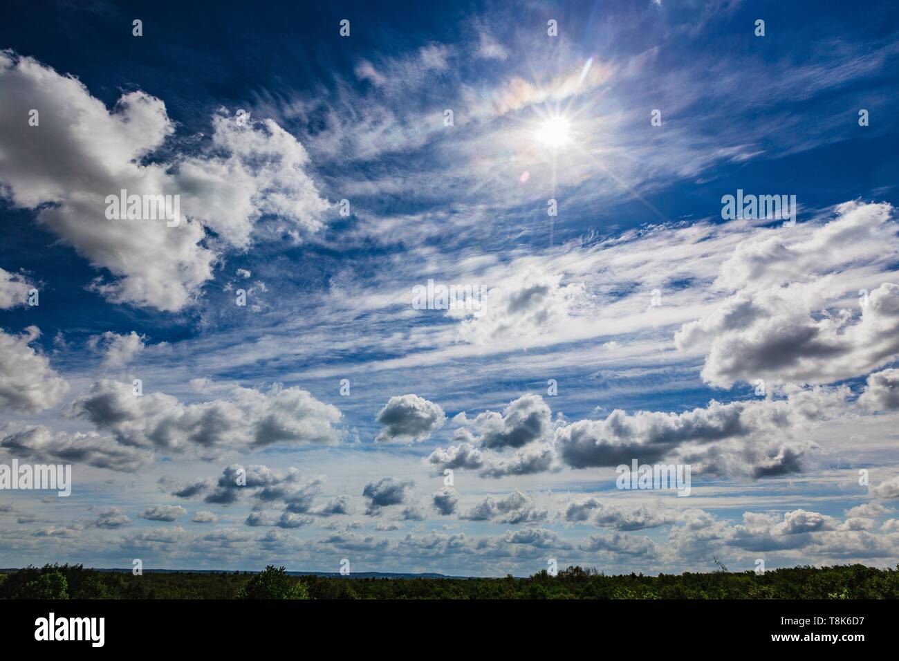 Blick auf windigen Frühlingstag mit weißen Wolken am blauen Himmel und strahlende Sonne. Grünen Wald am Horizont. Stockfoto