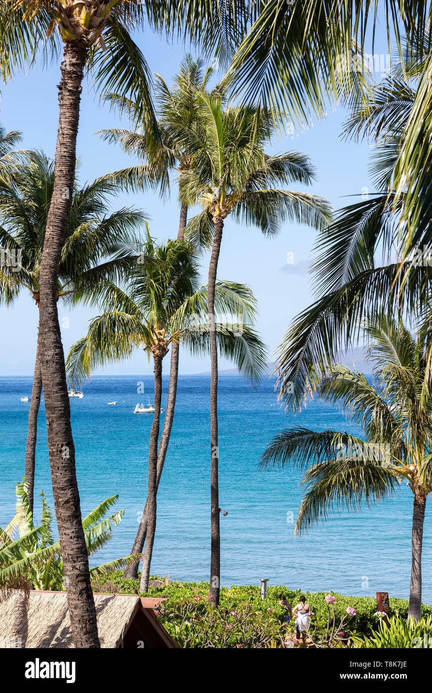 Blick auf den Pazifischen Ozean vom Sheraton Hotel, Maui, Hawaii. Stockfoto