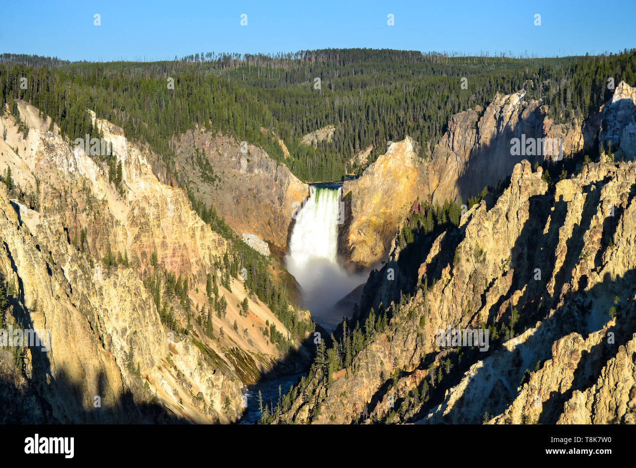 Lower Falls, Yellowstone-Nationalpark Stockfoto