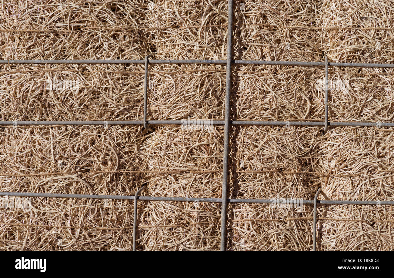 Aspen Holz evaporative-Kühler pad Hintergrund Stockfoto