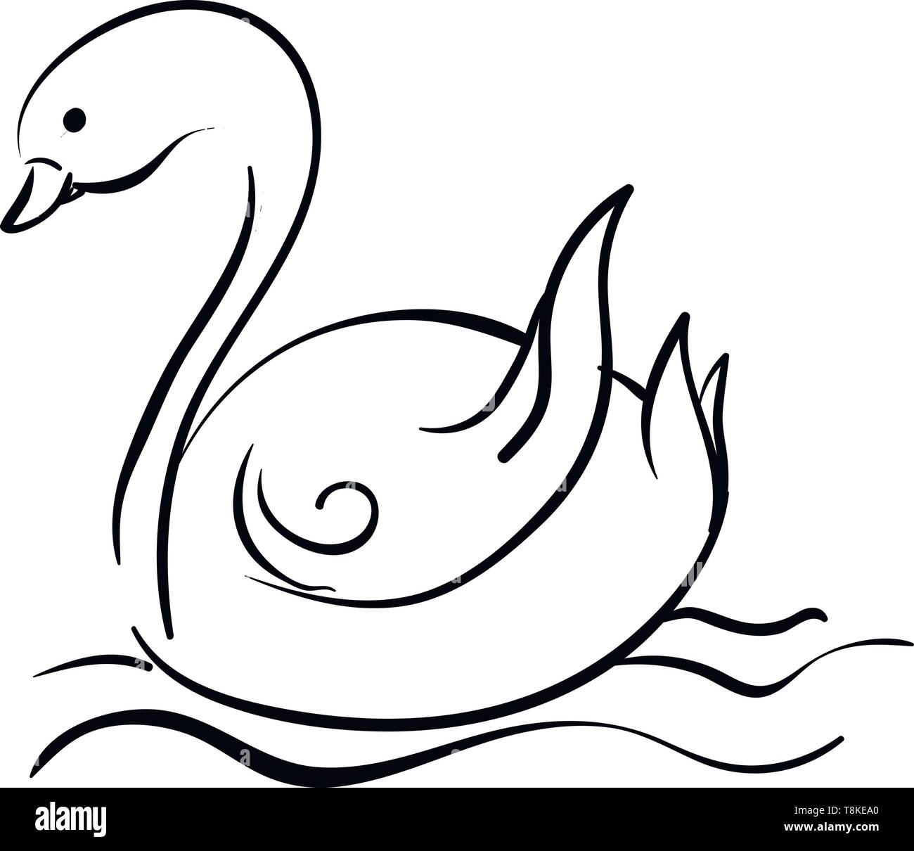 Skizze eines Schwarz Flauschige Swan durch den See schwimmen über weißen Hintergrund von der Seite, Vektor gesehen, Farbe, Zeichnung oder Abbildung skizziert. Stock Vektor