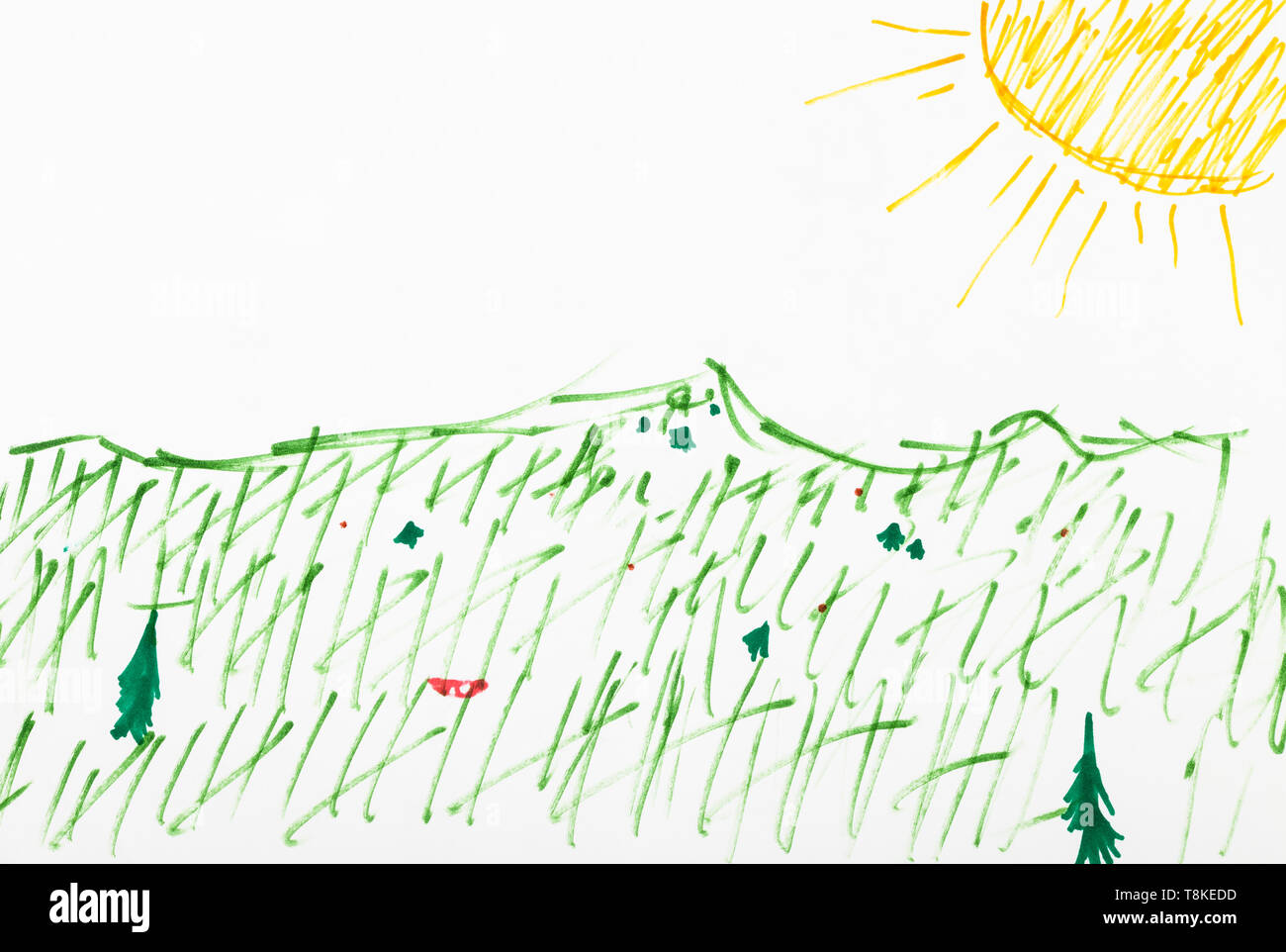 Grüne Gras auf der Wiese unter der gelben Sonne von Hand gezeichnet von filzstiften auf weißem Papier Stockfoto