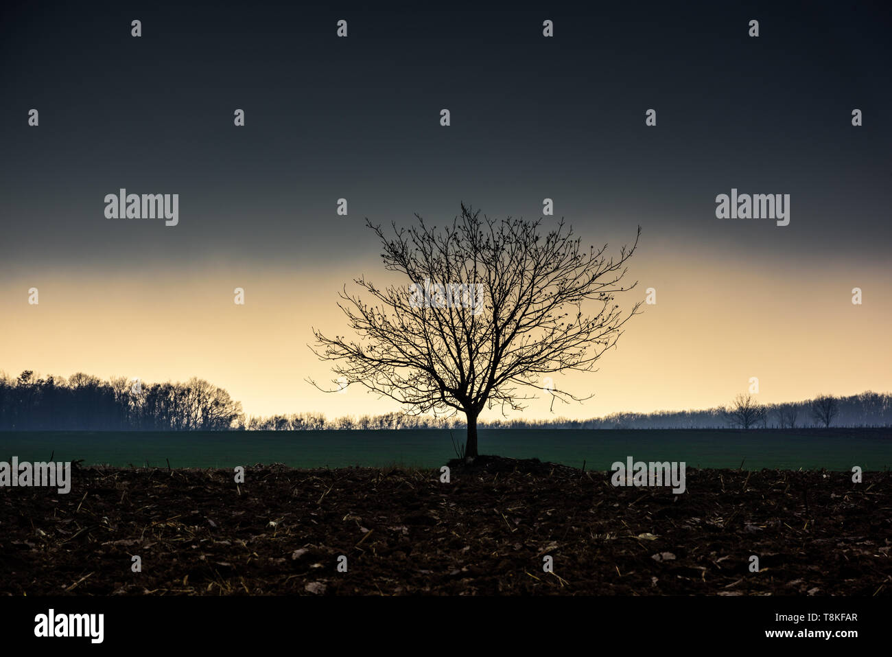 Atemberaubenden Sonnenuntergang mit Storm Cloud, auf unebenem Boden im Vordergrund. Stockfoto