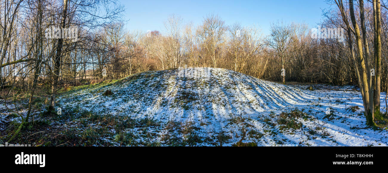 Barkhale Holz Bronzezeit runde Barrow in West Sussex, UK Stockfoto