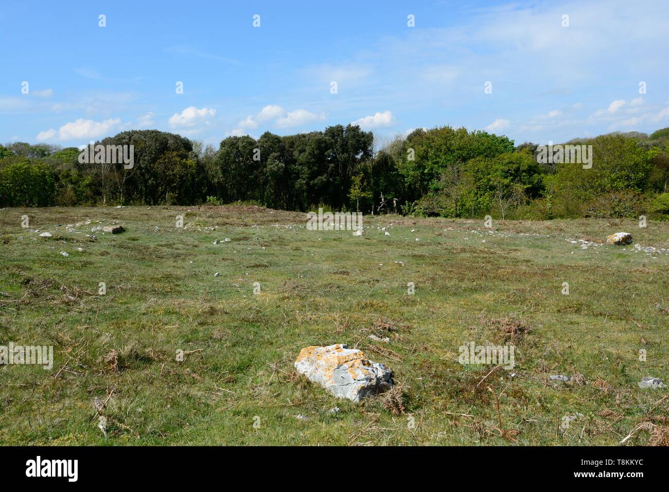 Stackpole warren -Fotos und -Bildmaterial in hoher Auflösung – Alamy