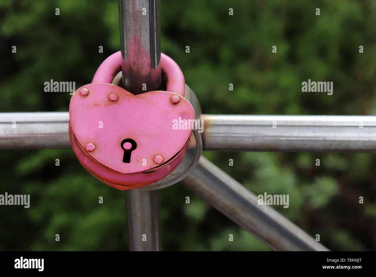 Alte rosa Vorhängeschloss Herz auf einer Brücke geprägt. Symbol für die ewige Liebe in einem Park auf grüne Natur Hintergrund Stockfoto