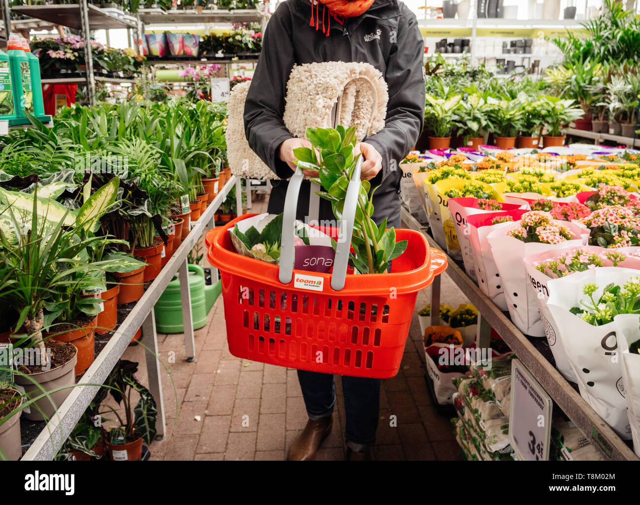 Frankfurt, Deutschland - 13 Apr, 2019: Elegante deutsche Frau kaufen  diverse Blumen und Haushalt Teppiche innen Toom Blumengeschäft Supermarkt  in Deutschland Stockfotografie - Alamy