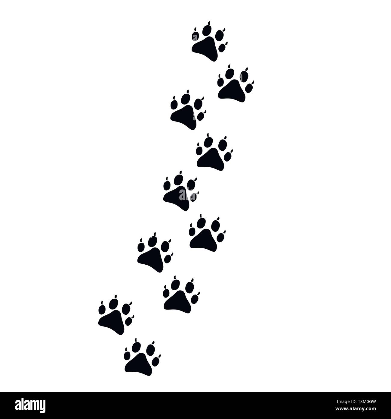 Paw tierischen Abdrücke. Vector Illustration. Stock Vektor