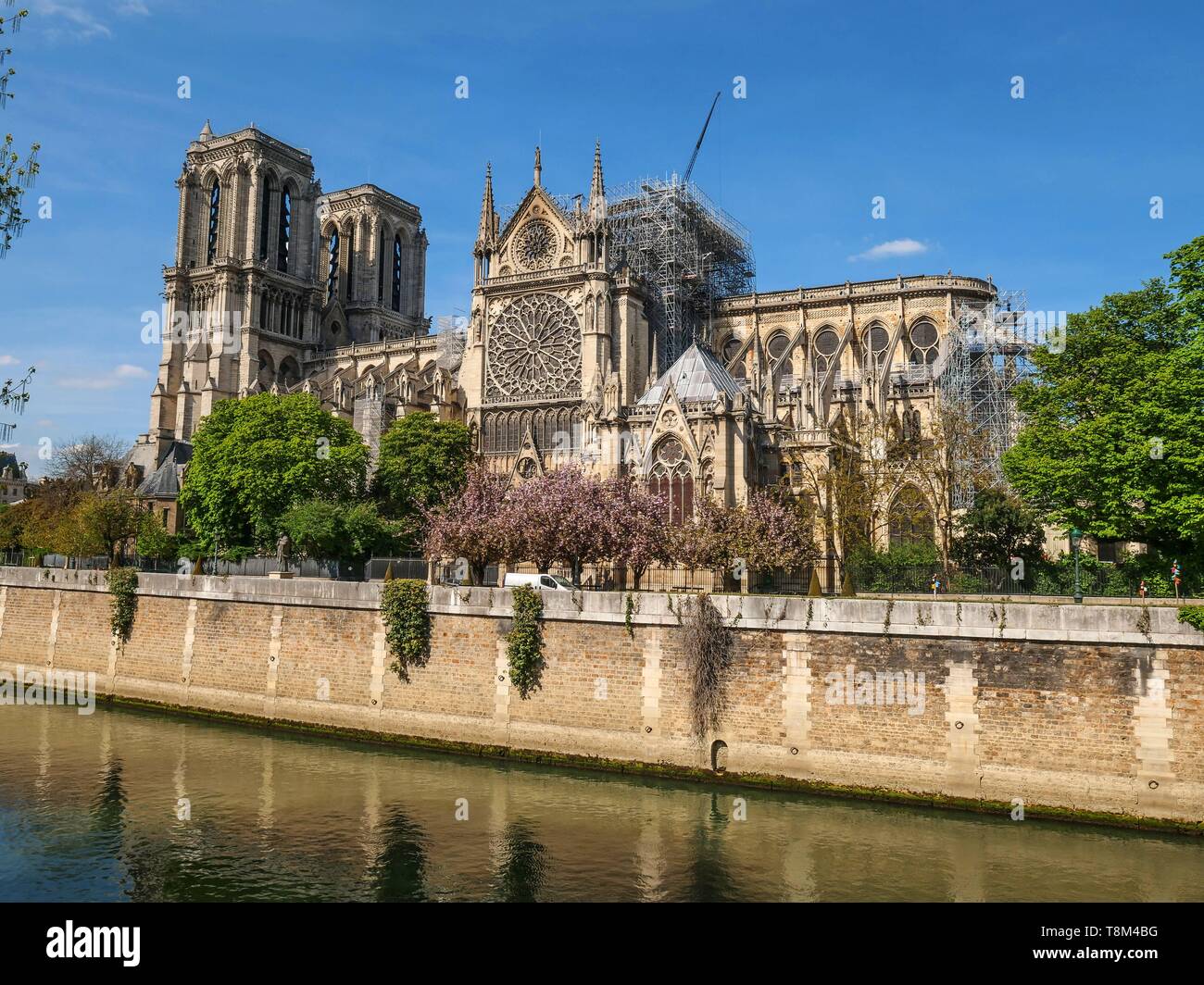 Frankreich, Paris (75), Weltkulturerbe der UNESCO, die Kathedrale Notre Dame, April 17, 2019, 2 Tage nach dem verheerenden Feuer, das den gesamten Frame ravaged Stockfoto