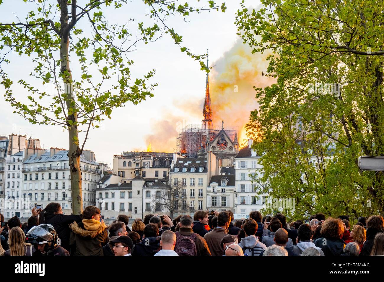 Frankreich, Paris, Bereich als Weltkulturerbe von der UNESCO, der Ile de la Cité, Kathedrale Notre-Dame, das grosse Feuer, dass die Kathedrale am 15. April 2019 verwüsteten aufgeführt Stockfoto