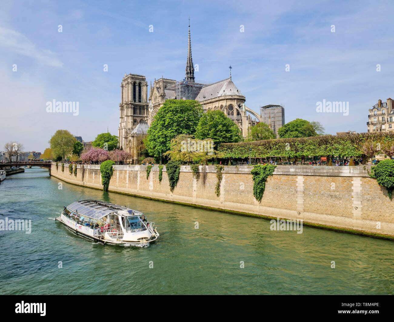 Frankreich, Paris (75), Weltkulturerbe der UNESCO, die Kathedrale Notre Dame, Paris, April 15, 2019, 3 Stunden vor den schrecklichen Brand, die alle Rahmen ravage Stockfoto