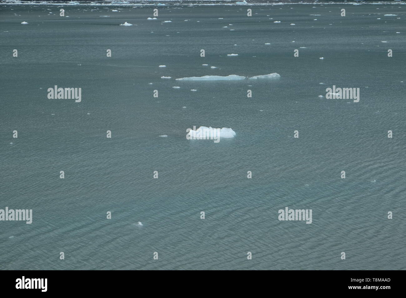 Ein Bild der kleinen Gletscher Glacier Bay, AK Stockfoto