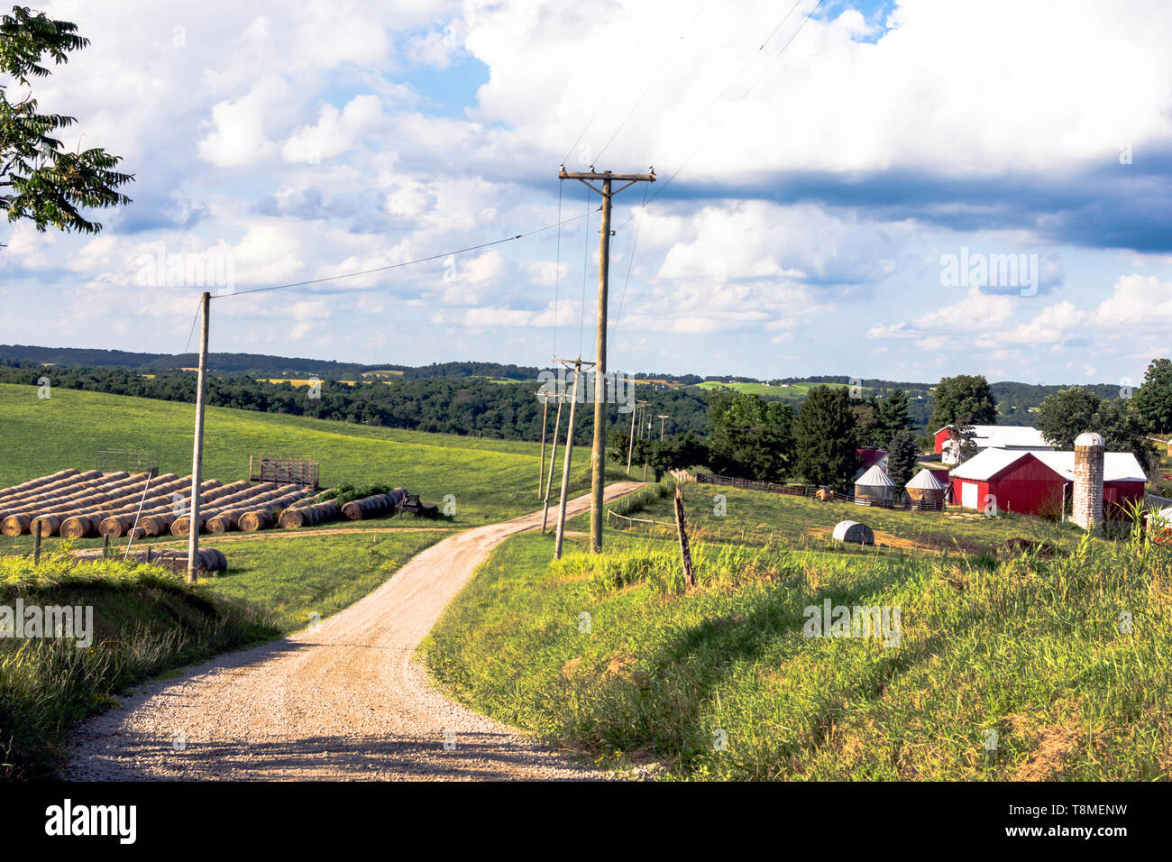 Land straße neben einem Bauernhof im ländlichen Ohio führenden Stockfoto