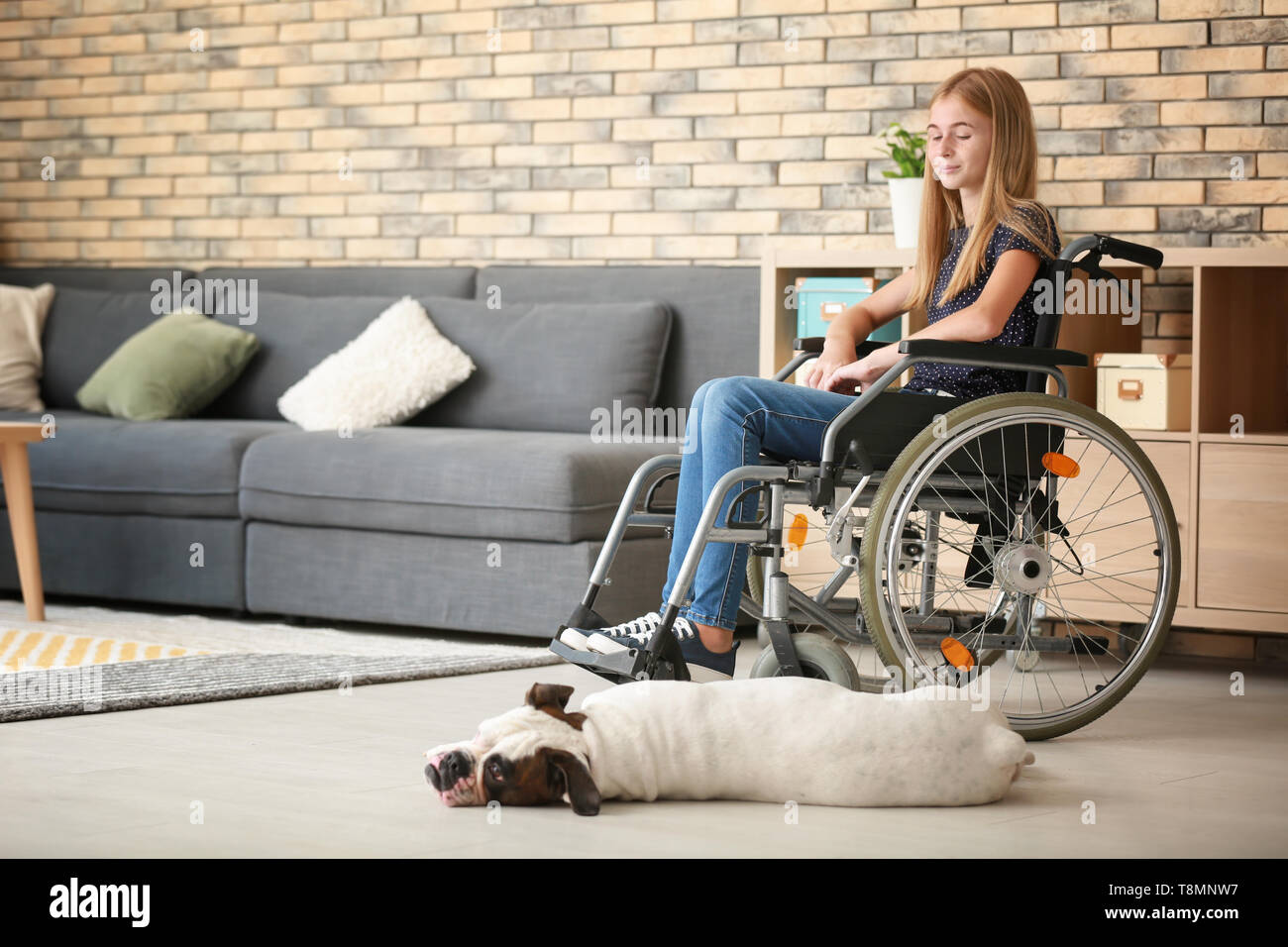 Teenage Madchen Im Rollstuhl Und Ihren Hund Zu Hause Stockfoto