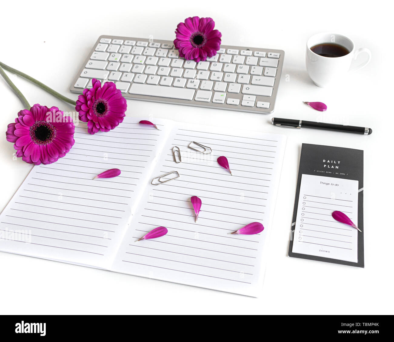 Flach offene Bibel oder Buch und pink, lila, violett, rot Gerbera Blume auf einem weißen Hintergrund. Mit rosa Blütenblätter, Tastatur, schwarzer Tee, um Liste zu tun Stockfoto