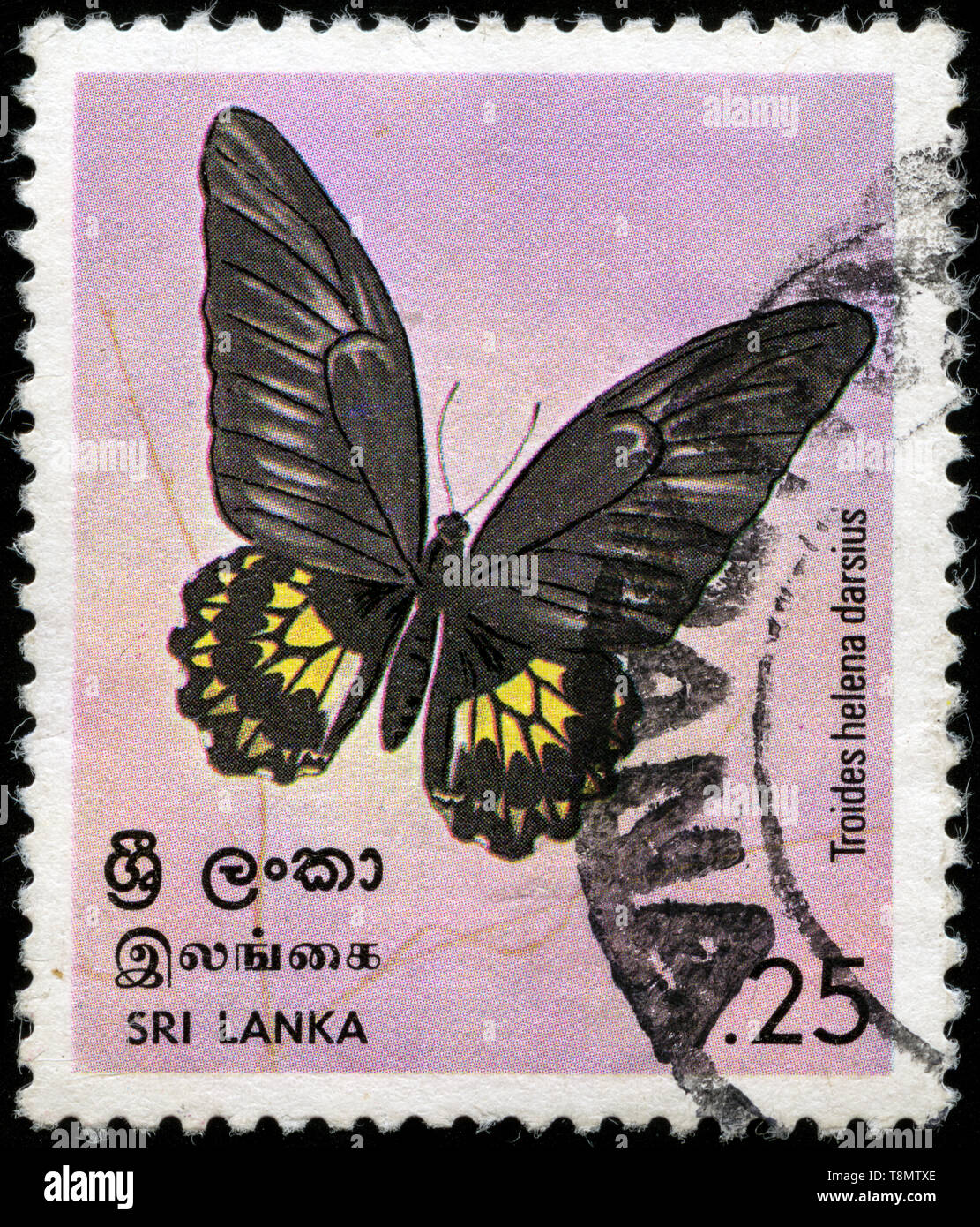 Poststempel Stempel aus Sri Lanka in der Schmetterling Serie in 1978 Stockfoto