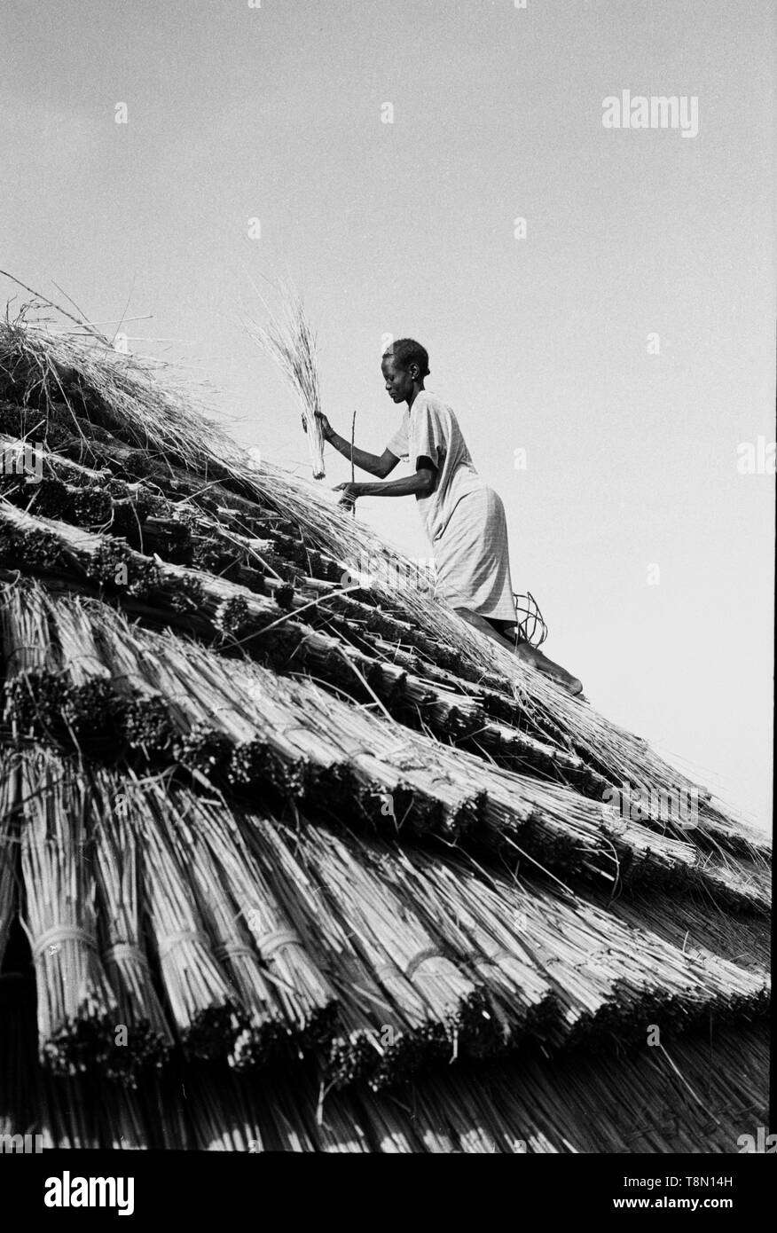 Dach zusammenbrechen von Frauen geleistet werden, um die Ringe der Bergrücken sind Benutzerdefiniert, um den Stamm der Dinka. Stockfoto