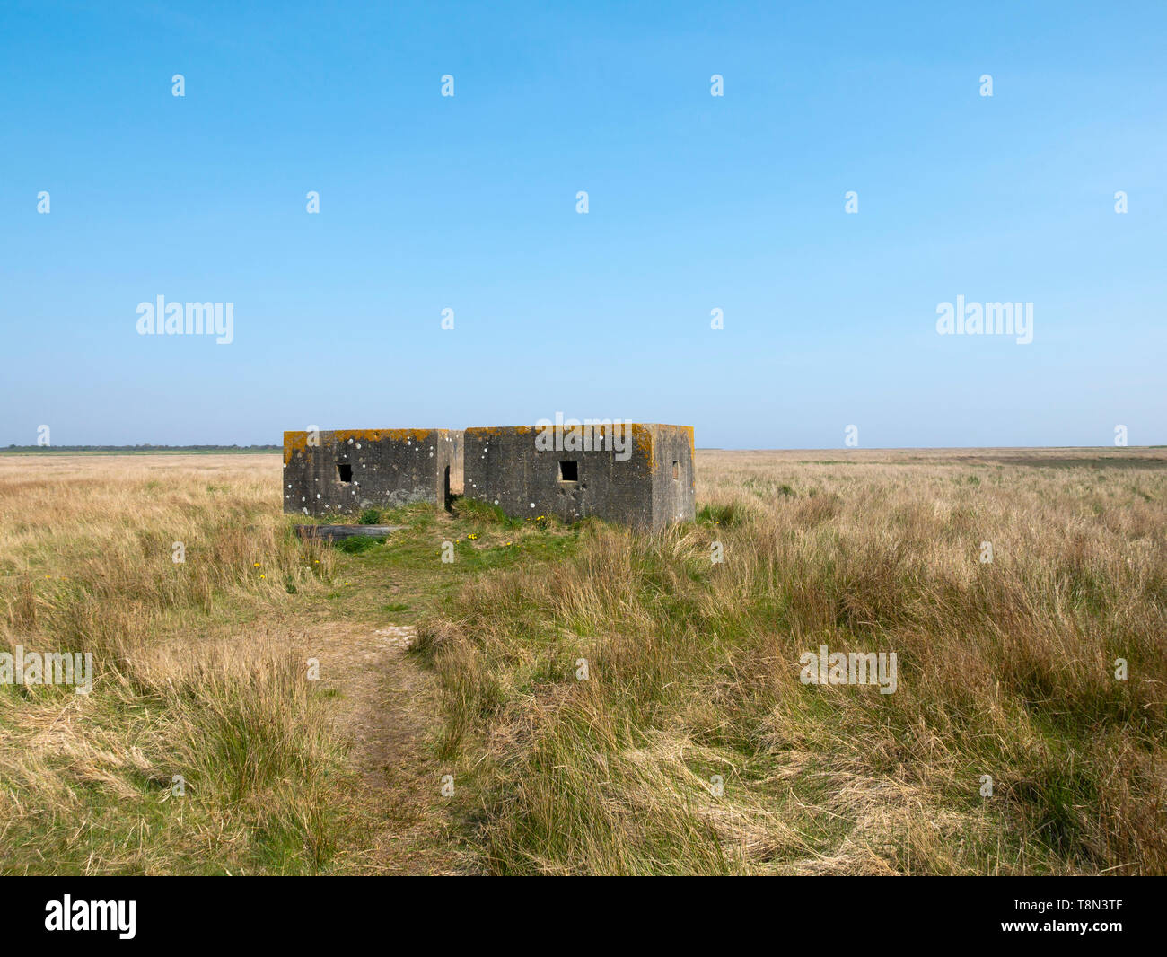 Alten Krieg Blick Bunker. Saltfleetby - Theddlethorpe Dunes National Nature Reserve, Lincolnshire, England, UK. Stockfoto