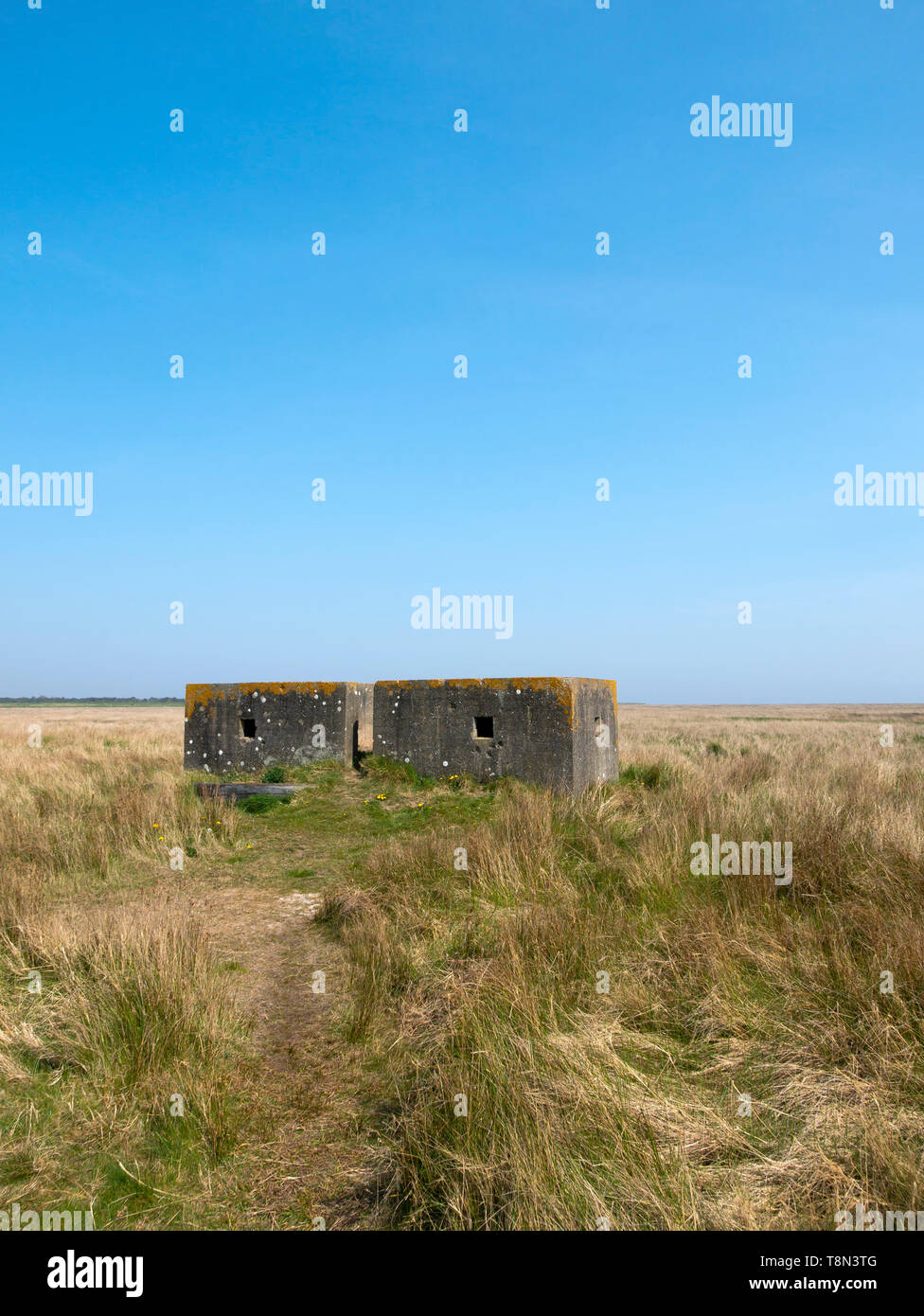 Alten Krieg Blick Bunker. Saltfleetby - Theddlethorpe Dunes National Nature Reserve, Lincolnshire, England, UK. Stockfoto