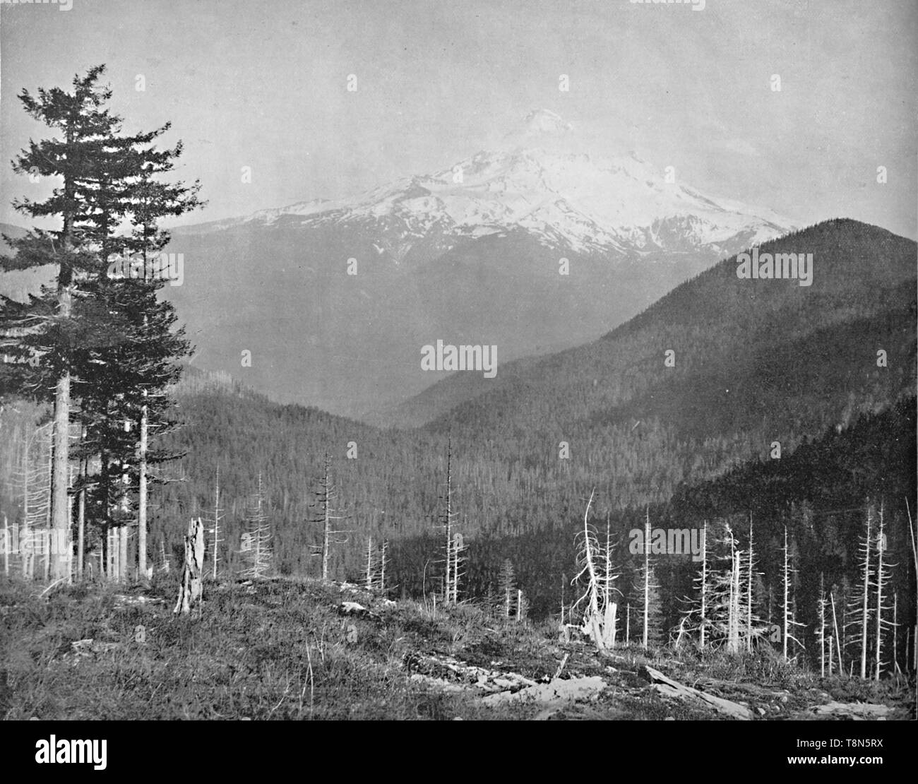 'Mount Hood, Oregon', c 1897. Schöpfer: Unbekannt. Stockfoto