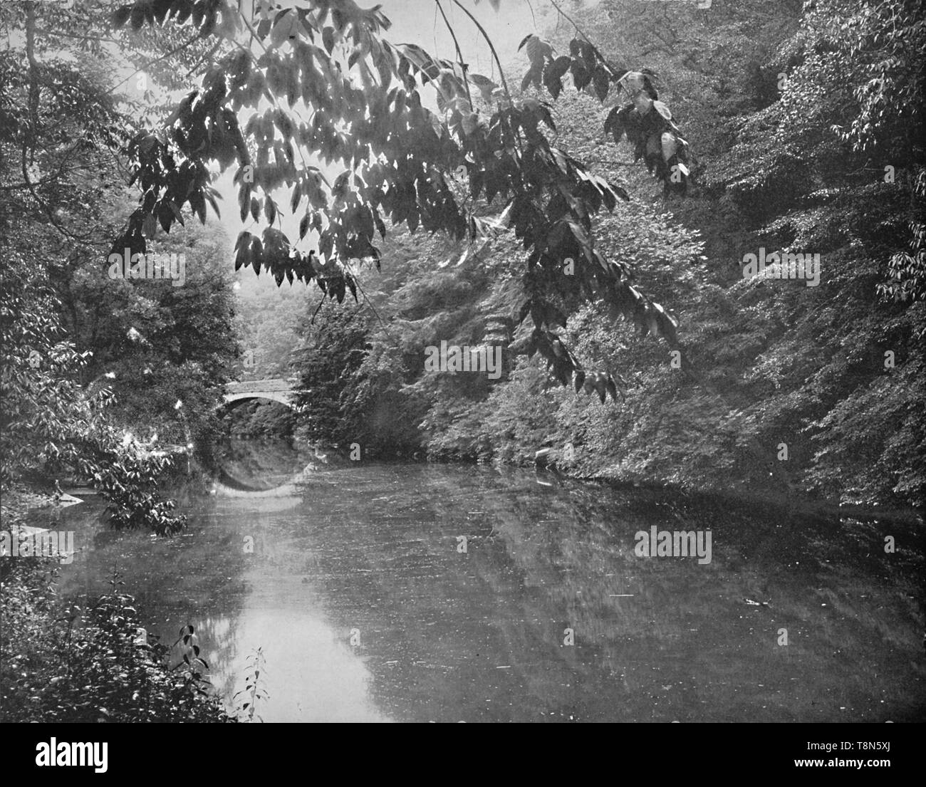 Auf Wissahickon creek, Fairmount Park, Philadelphia', c 1897. Schöpfer: Unbekannt. Stockfoto