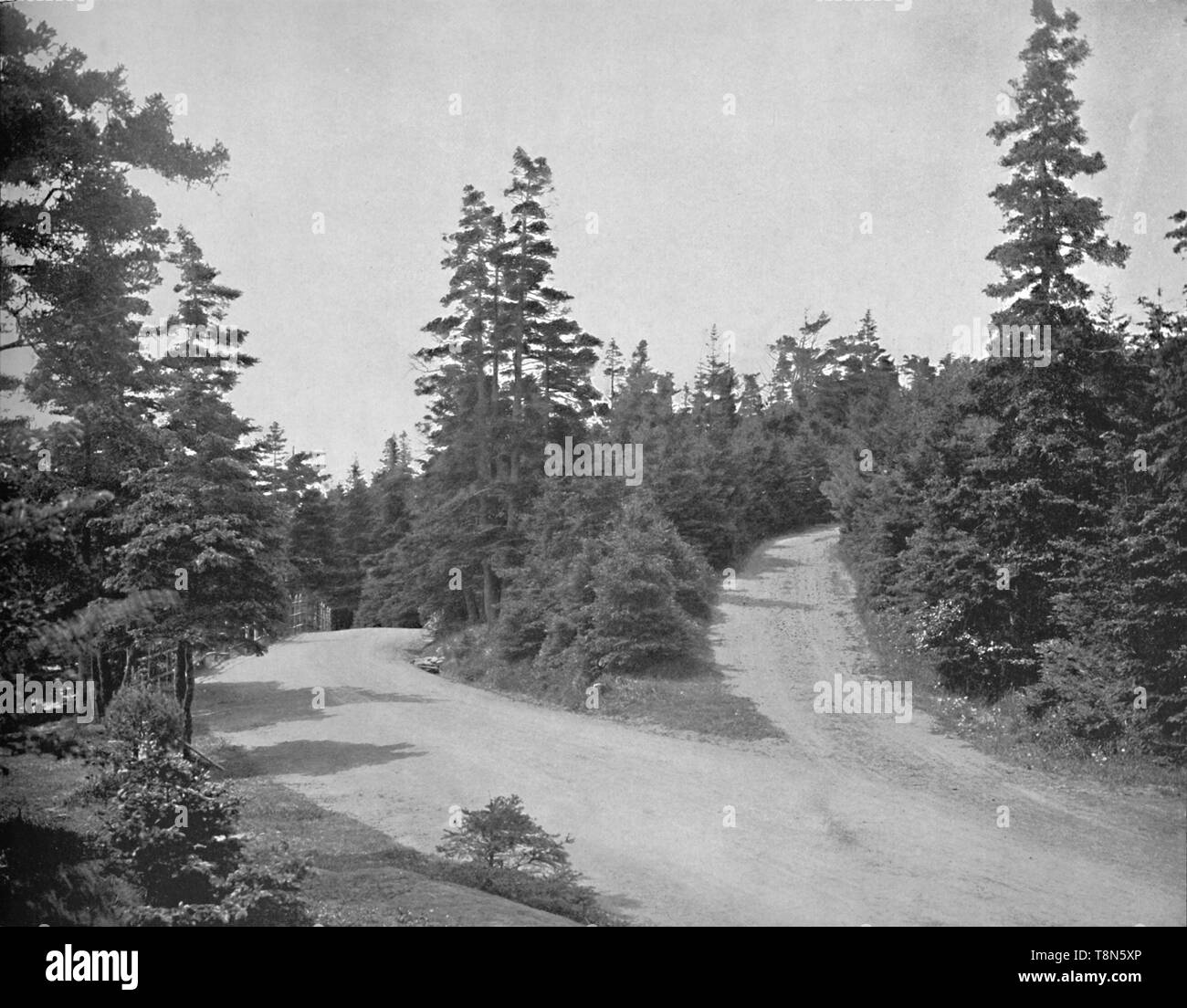 "Point Pleasant Park, Halifax, Nova Scotia', c 1897. Schöpfer: Unbekannt. Stockfoto