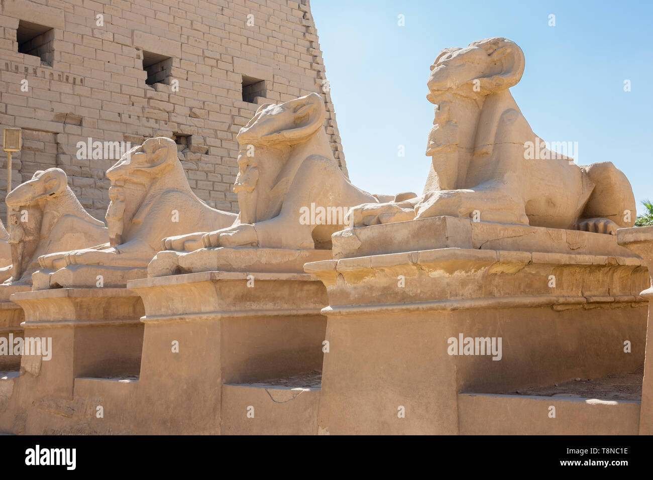 Die Avenue der sphingen am Tempel von Karnak Stockfoto
