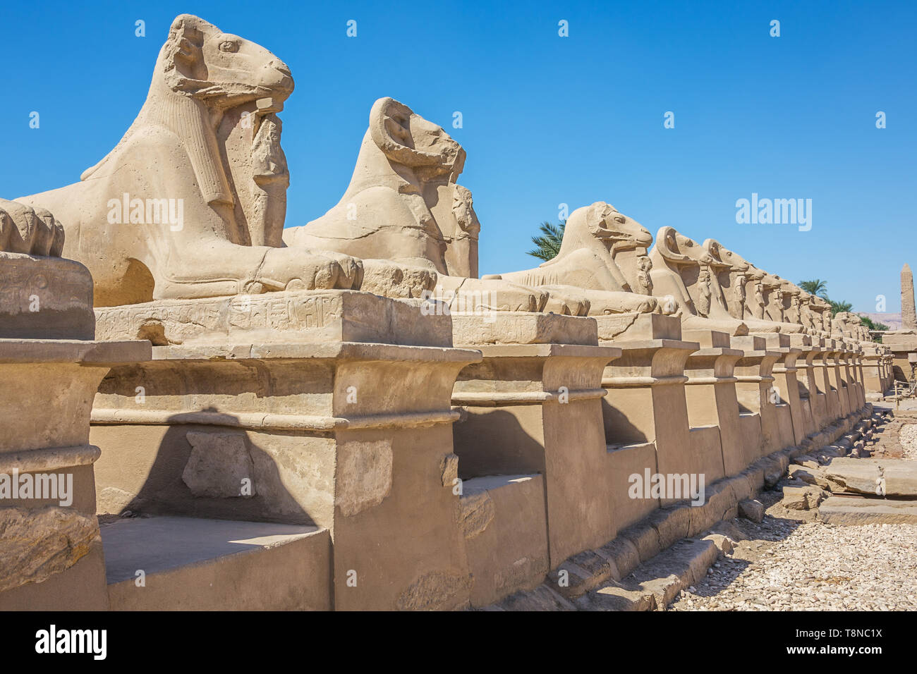 Mit Blick auf die Avenue der Sphingen aus dem Tempel von Karnak Stockfoto