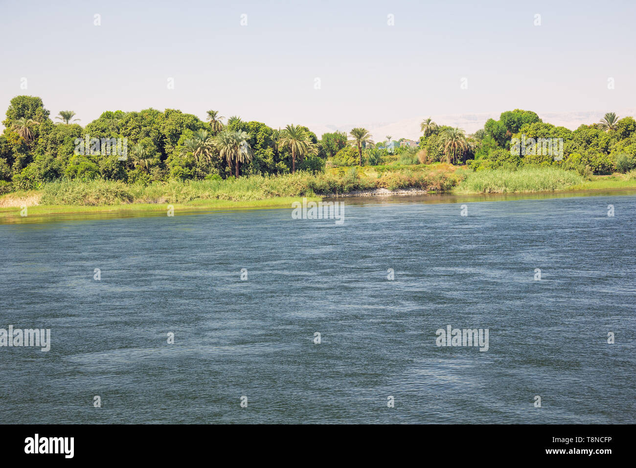 Navigieren auf dem Nil, in der Nähe von Luxor Stockfoto