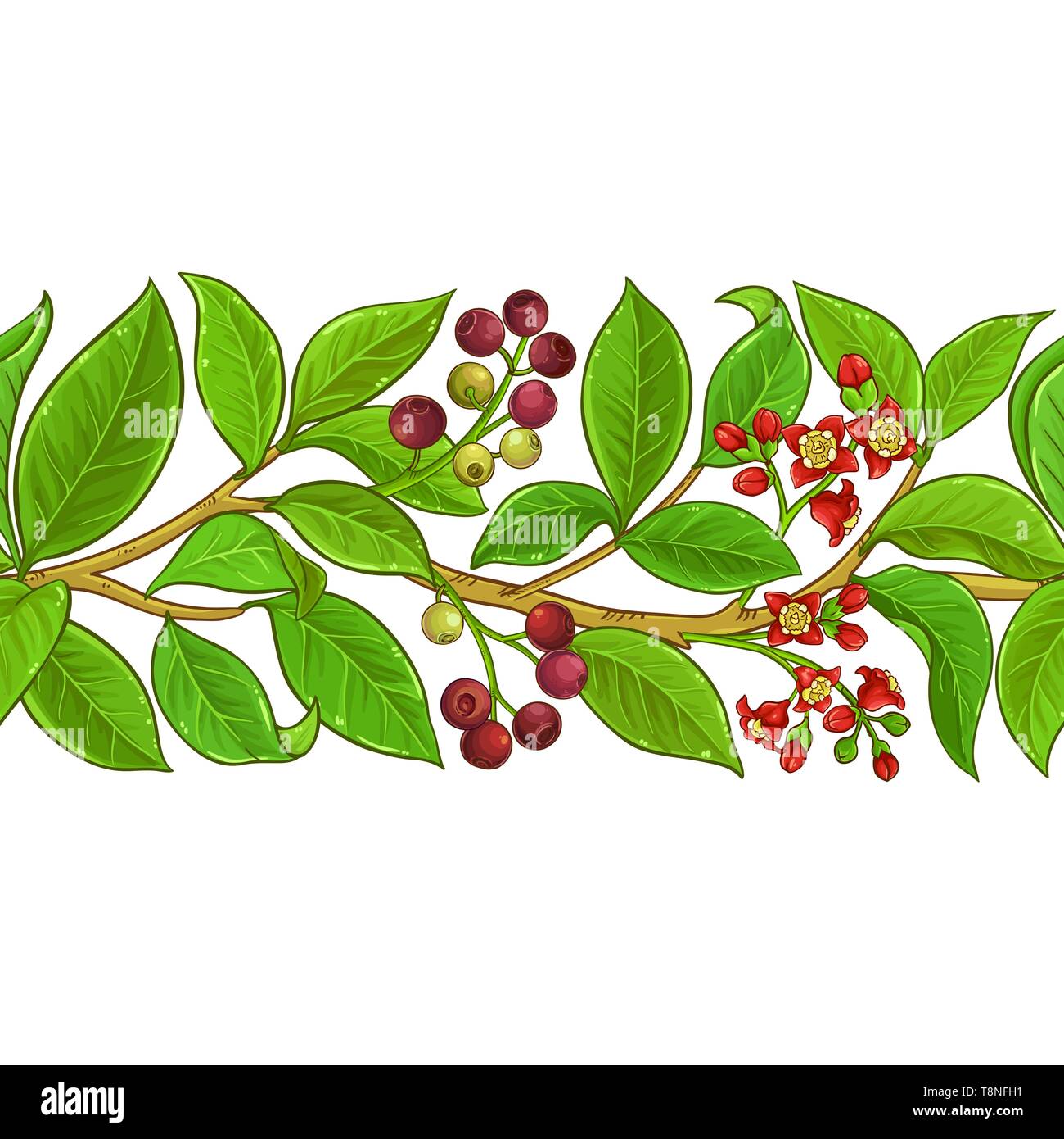 Sandelholz vektor Muster auf weißem Hintergrund Stock Vektor