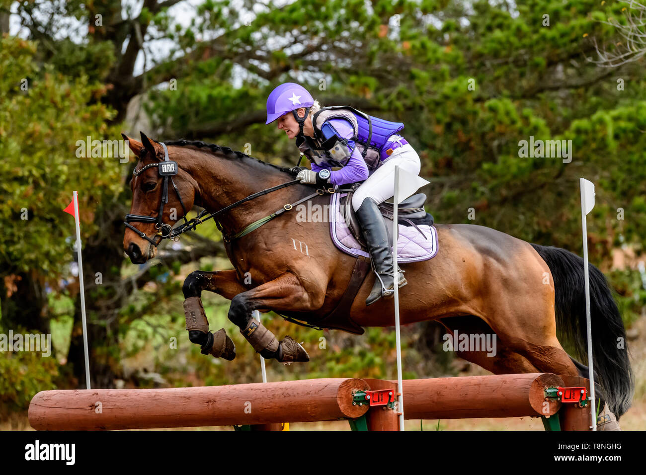 Reiter konkurrieren auf dem Marcus Oldham Ballarat International Horse Trials 2019 Stockfoto