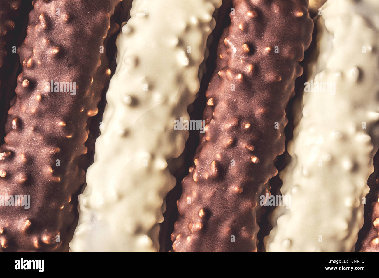 Dunkle und weiße Schokolade mit Nüssen als Hintergrund Stockfoto