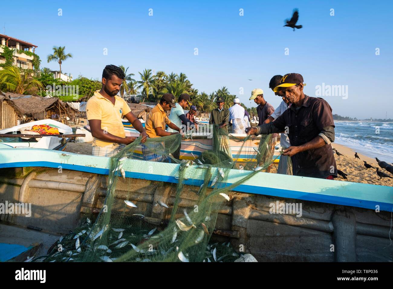 Sri Lanka, östlichen Provinz, Pottuvil, Arugam Bay, Zurück aus der Fischerei Stockfoto